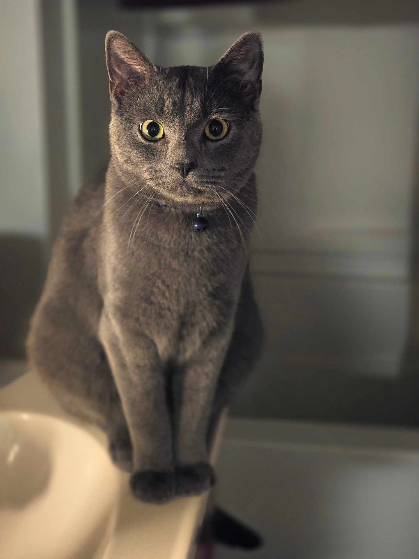 Loki
