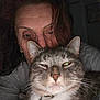 Loki is registered to the contest to win money with this photo: cat, person, face, close_up, indoor, pet, animal, whiskers, collar, ear, nose, fur, hair, eyelids, sleepy, portrait, dim_light, relaxed, companion, candid