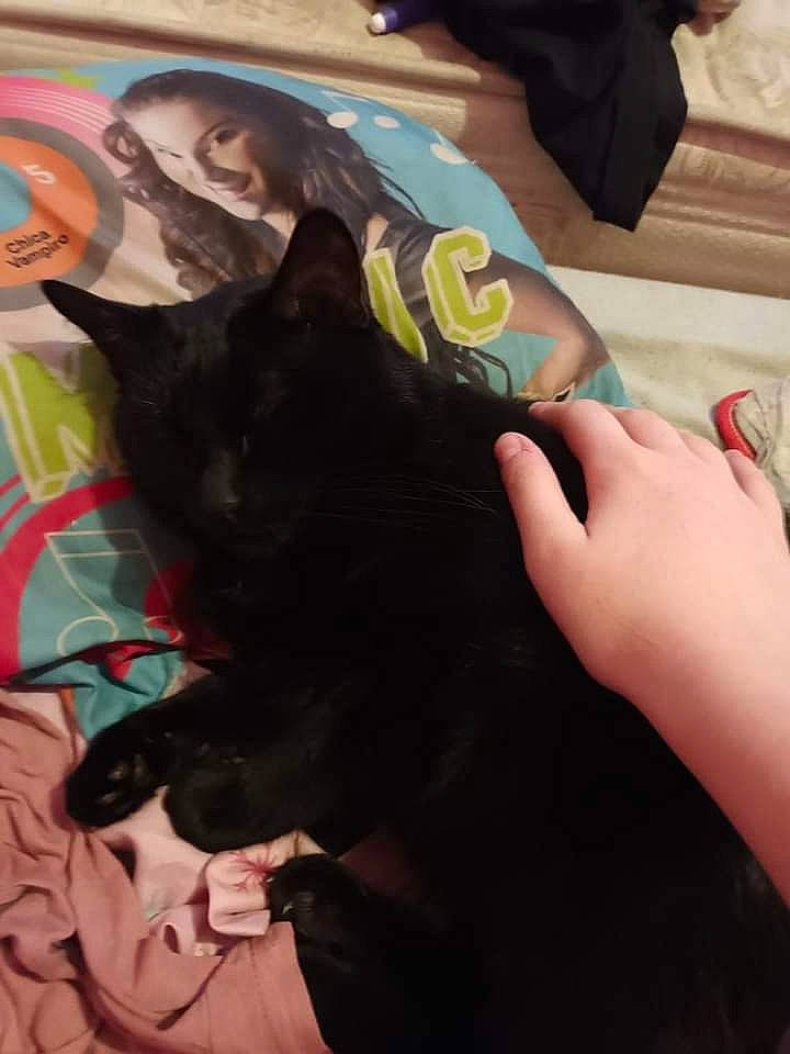 Crevette participe au concours pour gagner de l'argent avec cette photo : art, artist, cat, fashion_accessory, felidae, fictional_character, finger, formal_wear, fun, fur, gesture, happy, human_leg, illustration, nail, sitting, small_to_medium_sized_cats, thigh, visual_arts, wrist