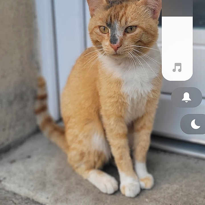 Isaïah