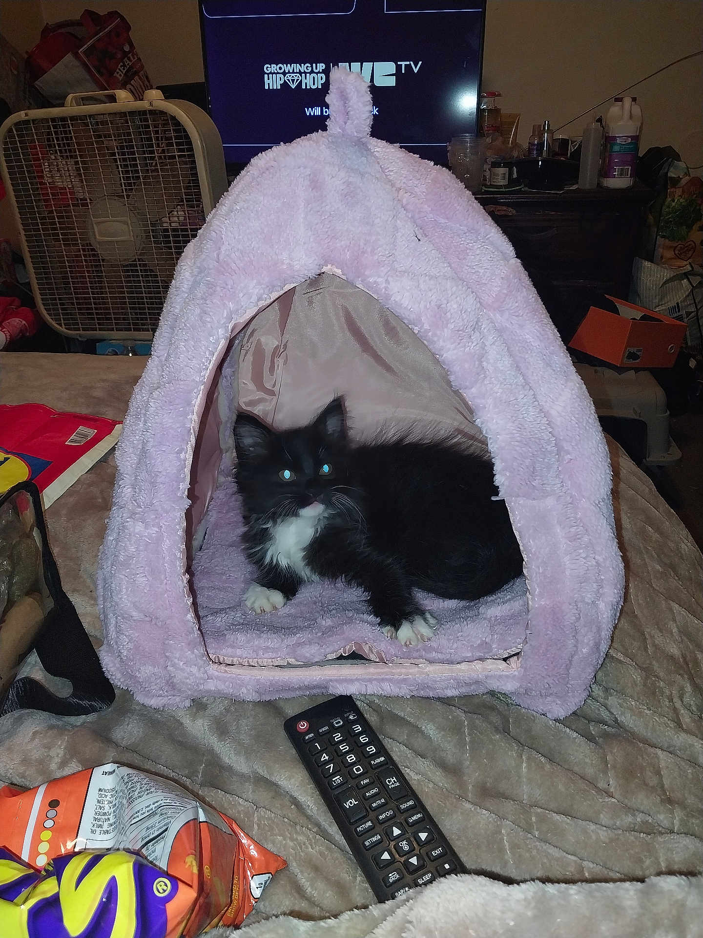 Prince
