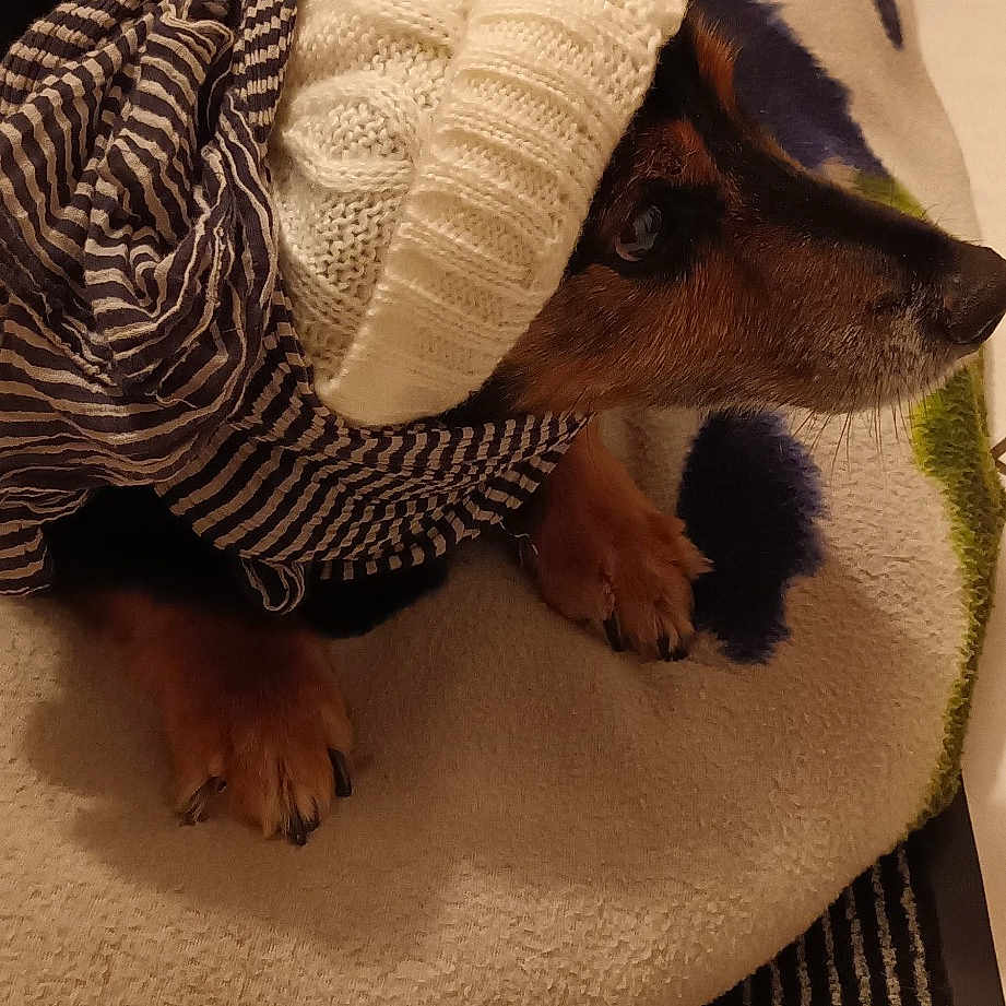 Caramel