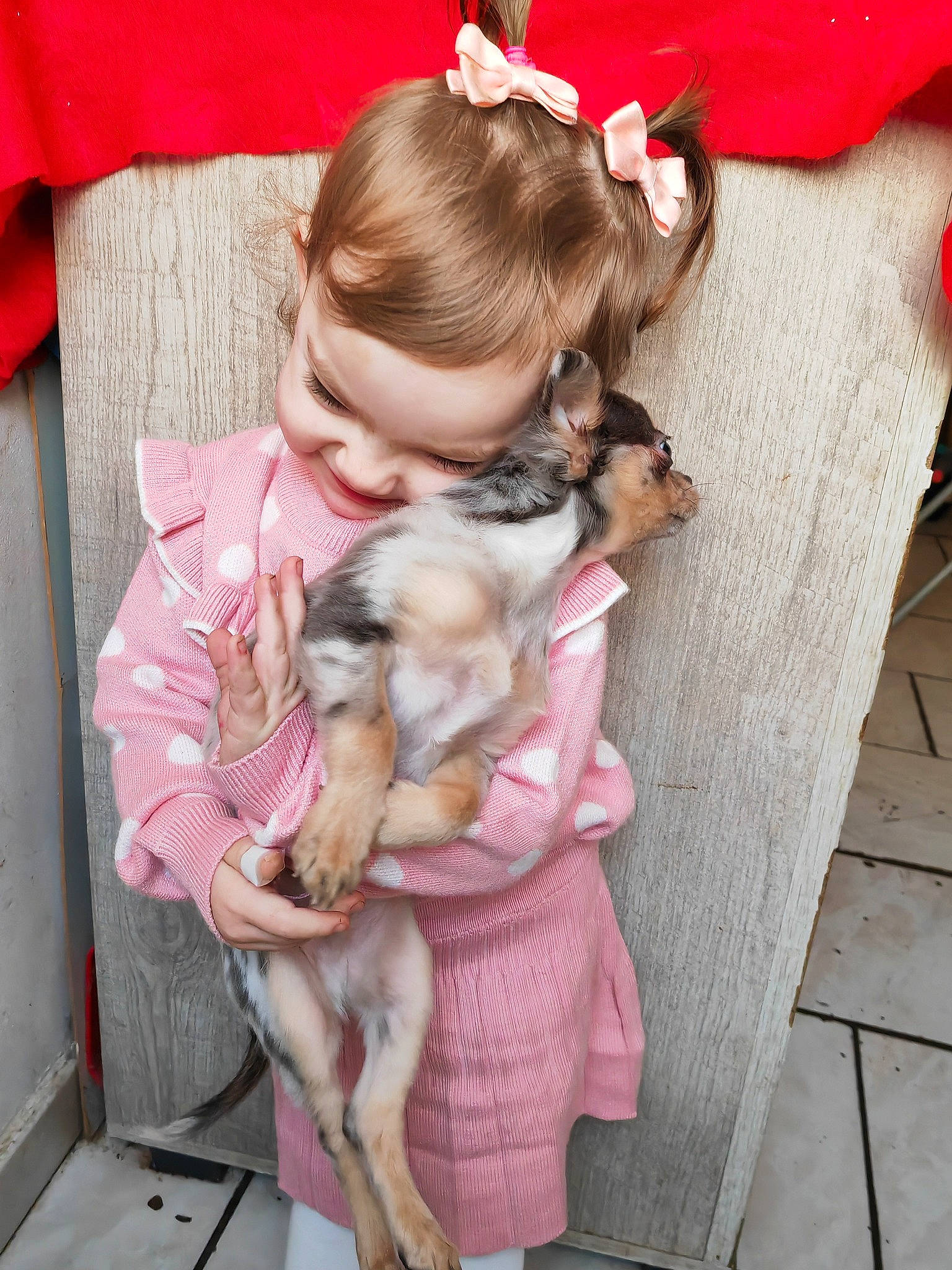 Cassidy participe au concours pour gagner de l'argent avec cette photo : baby_toddler_clothing, canidae, carnivore, child, companion_dog, dog, dog_breed, fawn, felidae, fur, happy, lap, mammal, person, pink, play, sitting, sporting_group, toddler, toy