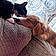 Rux