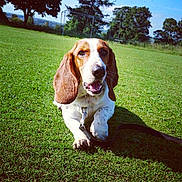 Leiva is registered to the contest to win money with this photo: