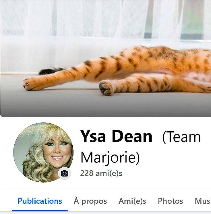 Neige a rejoint le concours — aidez-le/la à gagner de superbes lots ! carnivore, cat, comfort, domestic_short_haired_cat, eyelash, facial_expression, felidae, font, fur, gesture, hair, jaw, organ, paw, product, small_to_medium_sized_cats, smile, tail, terrestrial_animal, whiskers