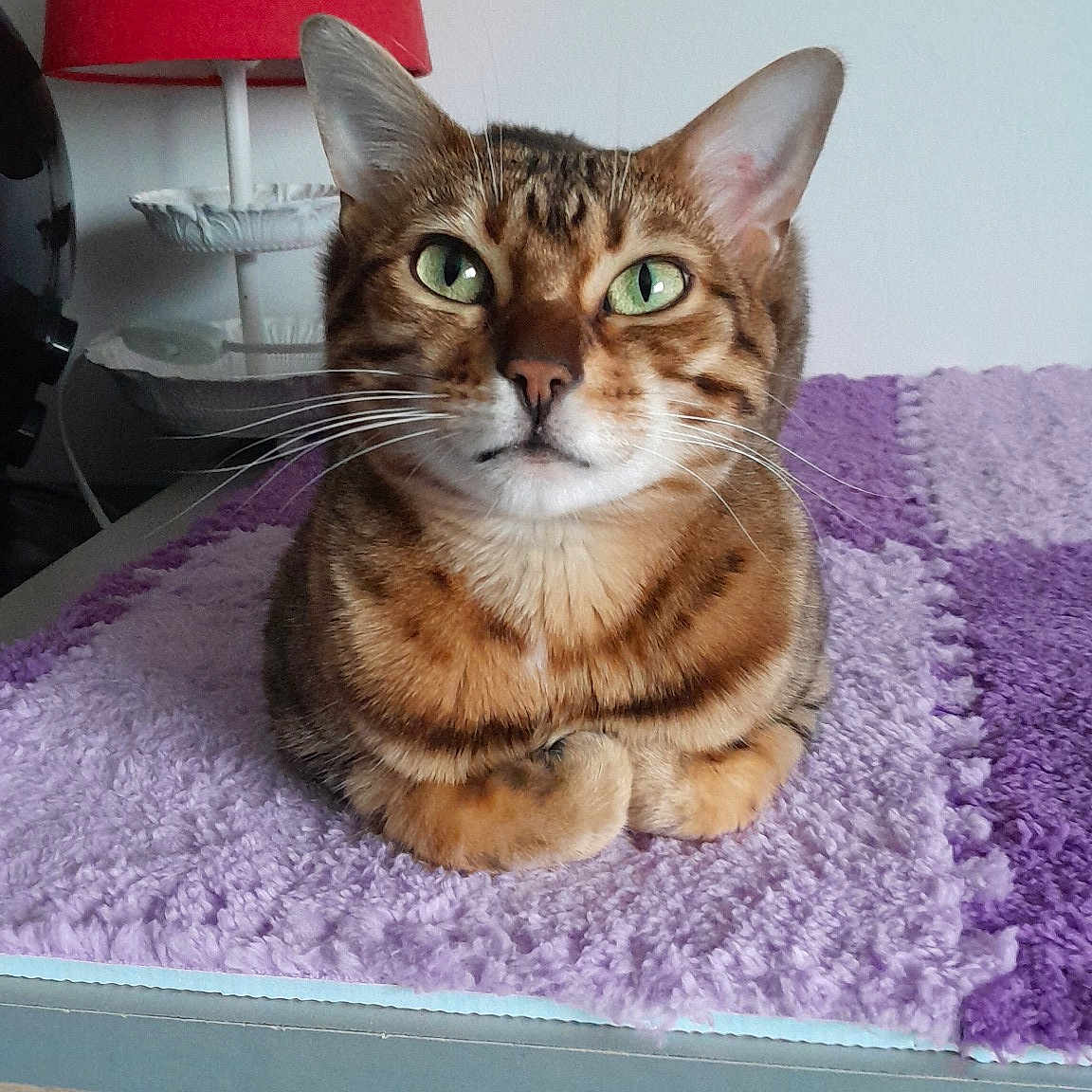 Ruby