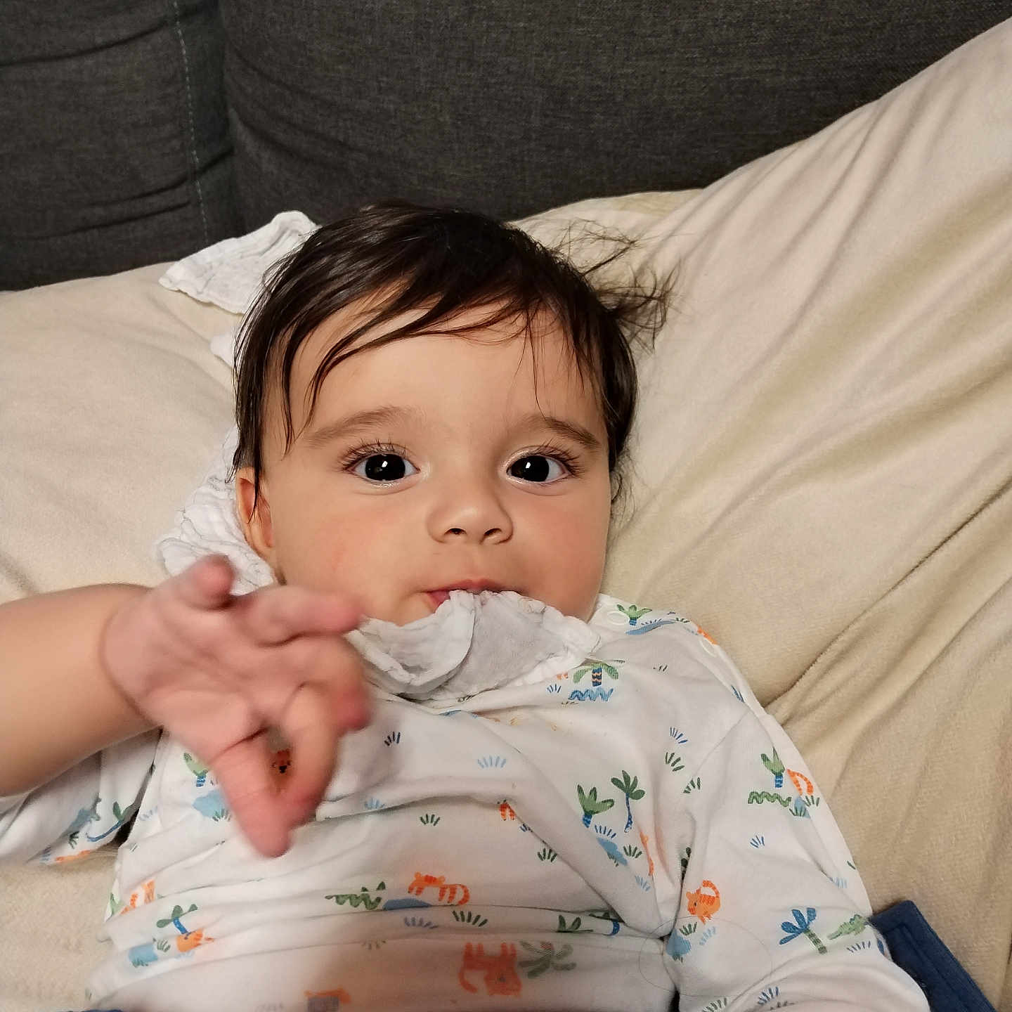 Youcef a rejoint le concours — aidez-le/la à gagner de superbes lots ! baby, blanket, child, clothing, couch, cute, expression, eyes, face, hair, hand, indoors, infant, onesie, person, pillow, portrait, reaching, sitting, young