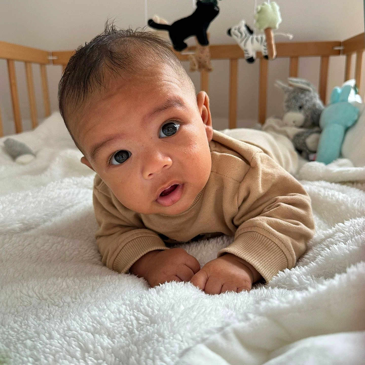 Leeroy a rejoint le concours — aidez-le/la à gagner de superbes lots ! baby, bedroom, blanket, child, cozy, crib, curious, cuteness, early_morning, expression, face, hands, indoors, infant, lying_down, portrait, soft_toy, stuffed_animal, toy, wooden_crib