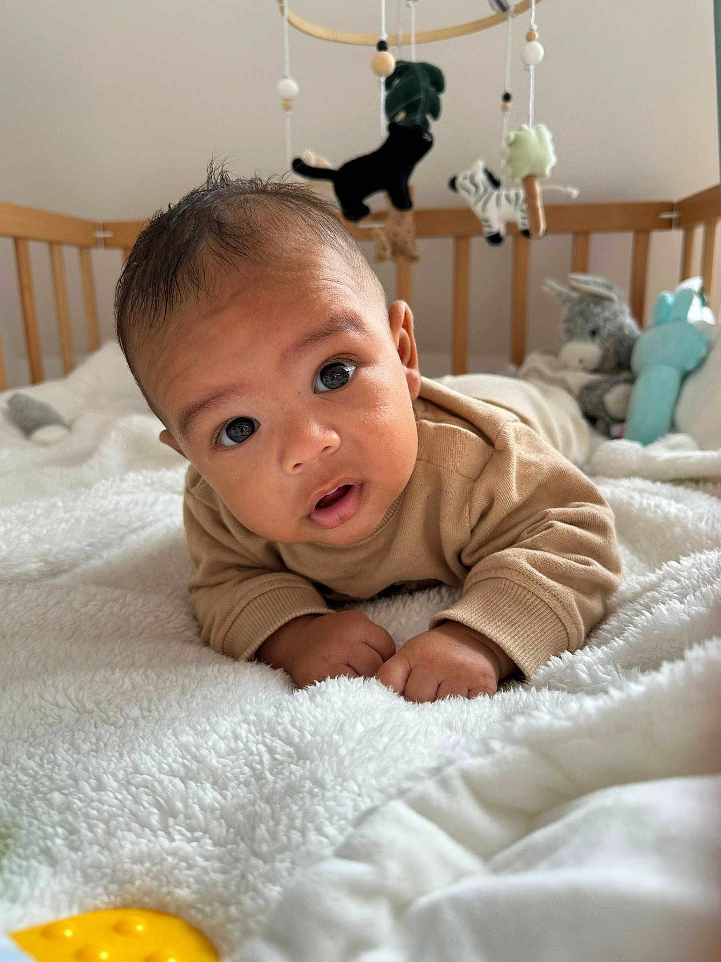 Leeroy a rejoint le concours — aidez-le/la à gagner de superbes lots ! baby, infant, child, crib, blanket, toy, stuffed_animal, soft_toy, face, hands, curious, lying_down, indoors, bedroom, wooden_crib, cuteness, expression, cozy, early_morning, portrait