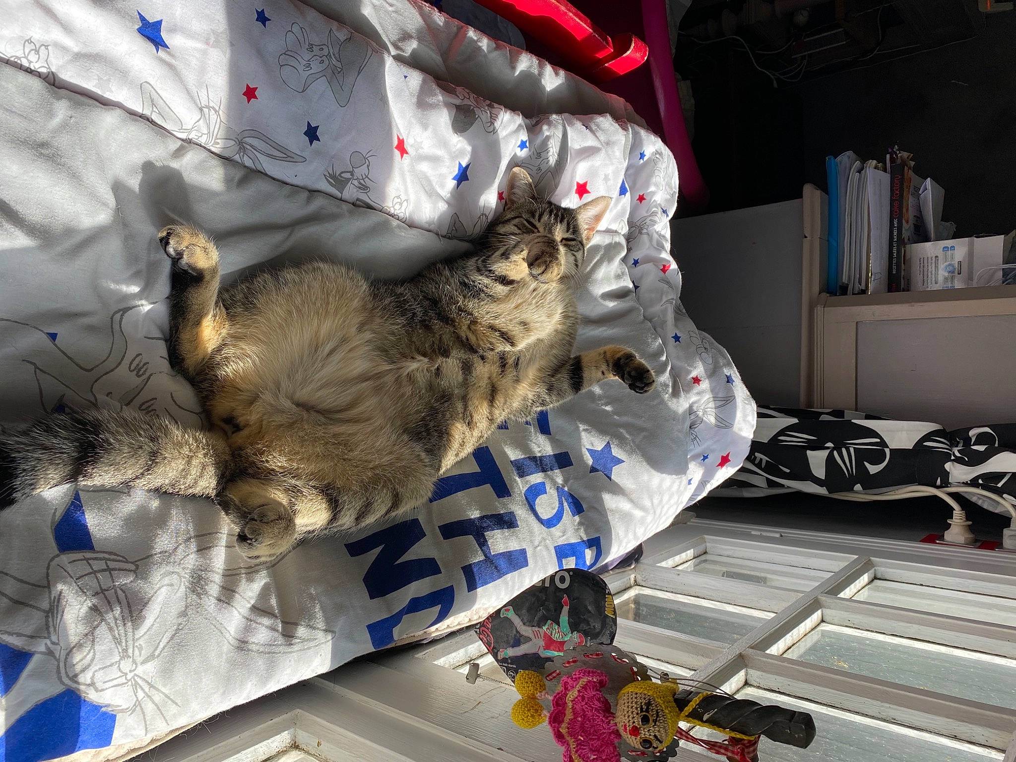 Fripouille a rejoint le concours — aidez-le/la à gagner de superbes lots ! carmine, carnivore, cat, domestic_short_haired_cat, felidae, fur, machine, small_to_medium_sized_cats, tail, textile, whiskers