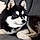 Olie