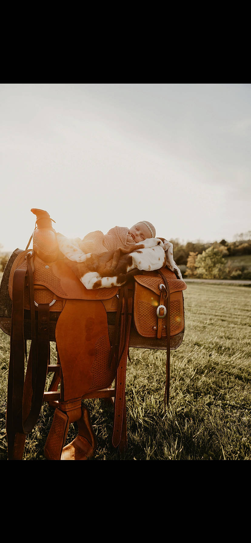 Harleigh joined the competition — help win amazing prizes! cart, dairy_cow, fawn, grass, grassland, grazing, human_leg, landscape, livestock, metal, musician, pasture, people_in_nature, person, plant, shorts, sitting, sky, tree, wheel