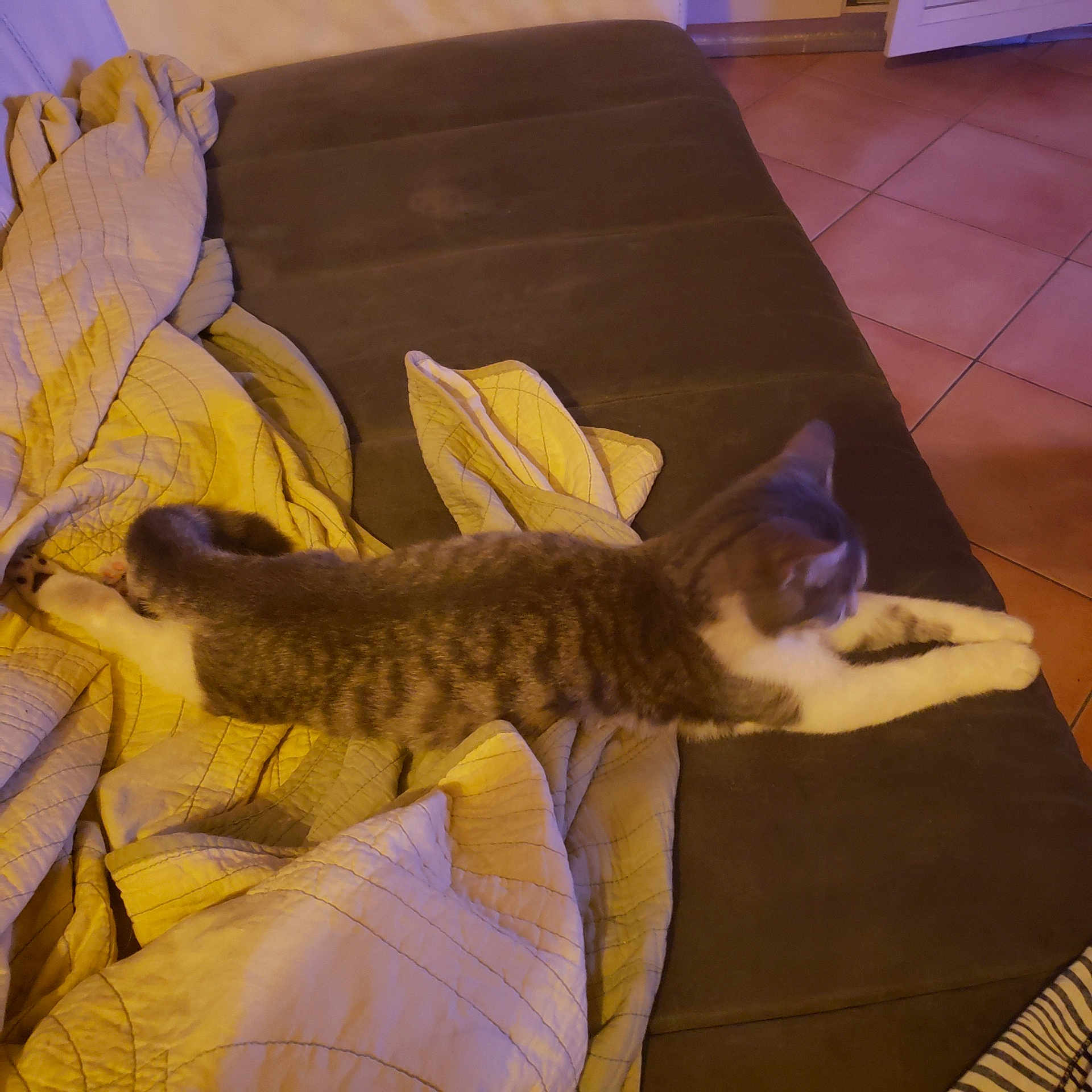 Téa