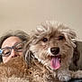 brown_fur, casual, closeup, companion, couch, cozy, curly_fur, dog, eyewear, face, fluffy, glasses, happy, home, indoor, person, pet, relaxing, smile, tongue_out