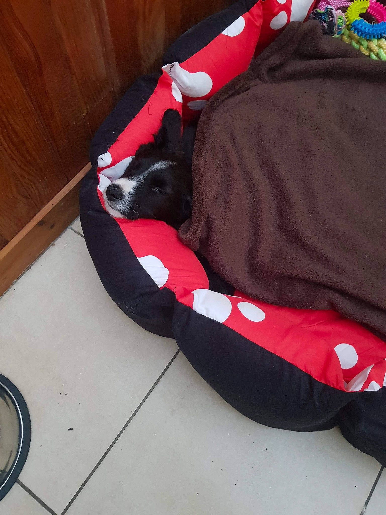 Happy participe au concours pour gagner de l'argent avec cette photo :