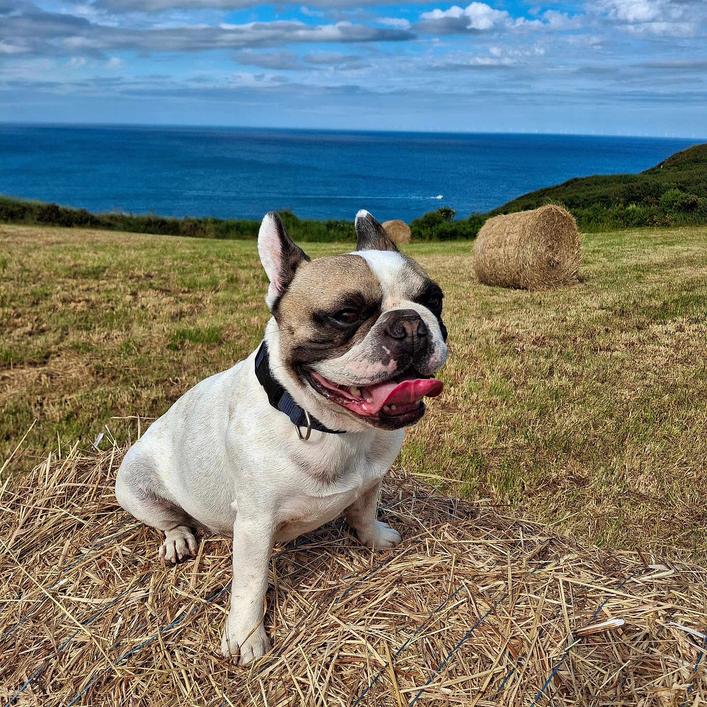 Rusty