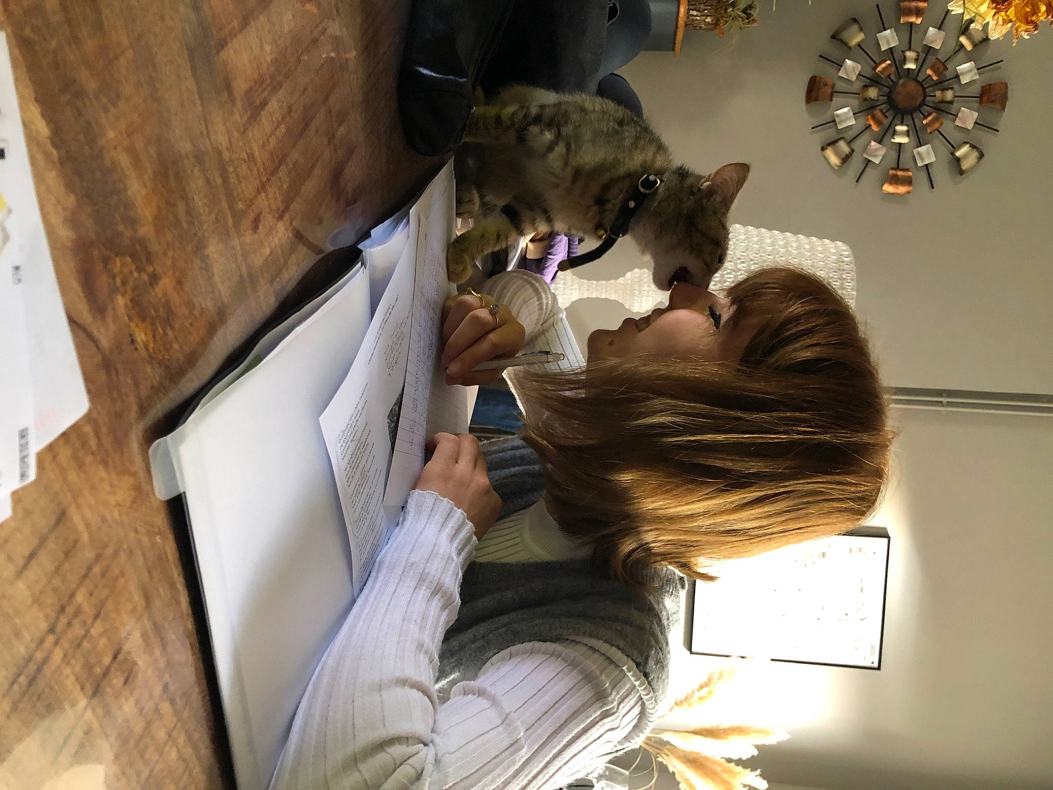 Zoé participe au concours pour gagner de l'argent avec cette photo : art, comfort, computer, domestic_short_haired_cat, eyewear, felidae, fun, fur, hairstyle, laptop, personal_computer, reading, room, sitting, small_to_medium_sized_cats, toy, tree, visual_arts, whiskers, wood