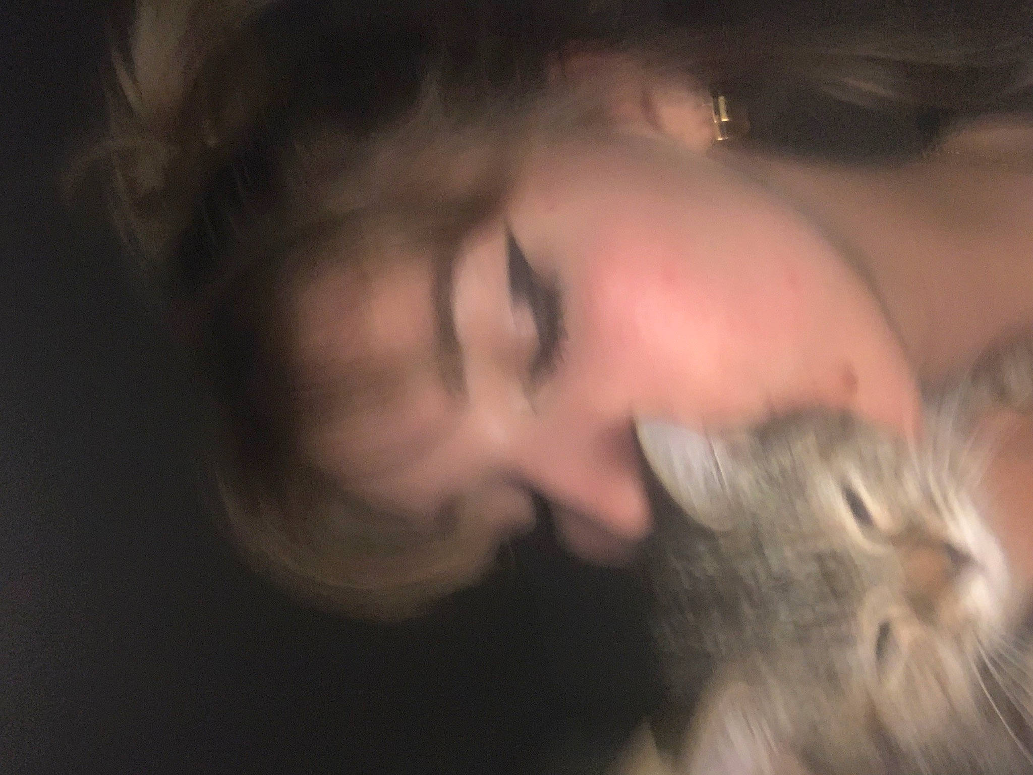 Zoé a rejoint le concours — aidez-le/la à gagner de superbes lots ! beard, carnivore, cat, cloud, darkness, domestic_short_haired_cat, dress, ear, eyelash, felidae, flash_photography, fun, fur, jaw, midnight, nose, small_to_medium_sized_cats, tail, tree, whiskers