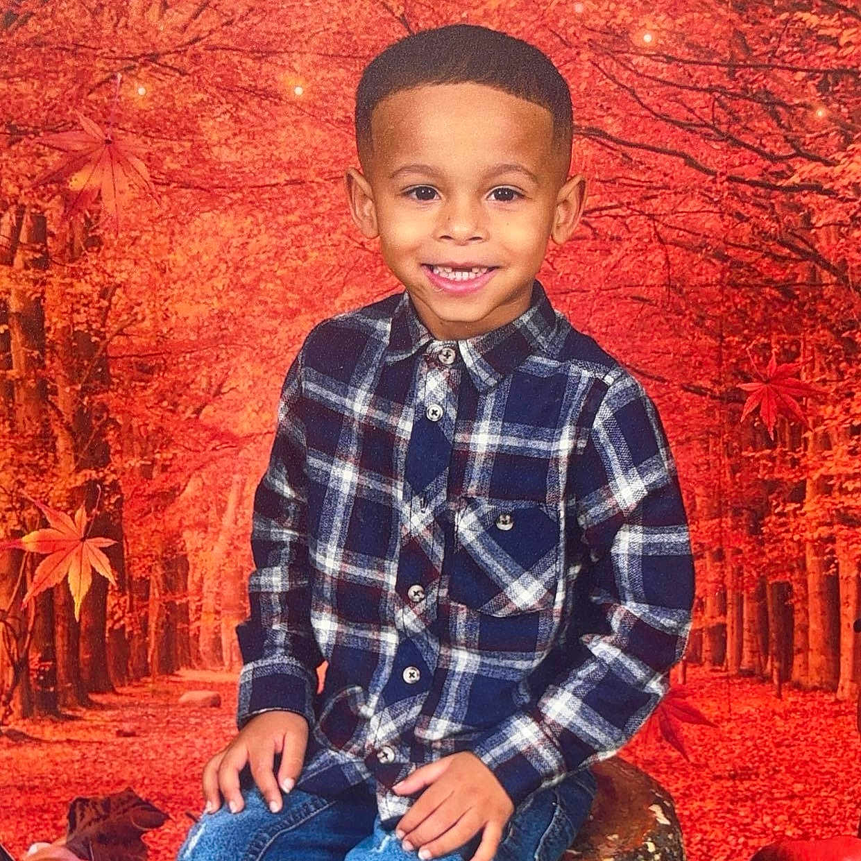 Kingston joined the competition — help win amazing prizes! boy, child, clothing, coat, face, happy, head, jacket, jeans, male, pants, person, photography, plant, portrait, shirt, sitting, smile, tree, vegetation