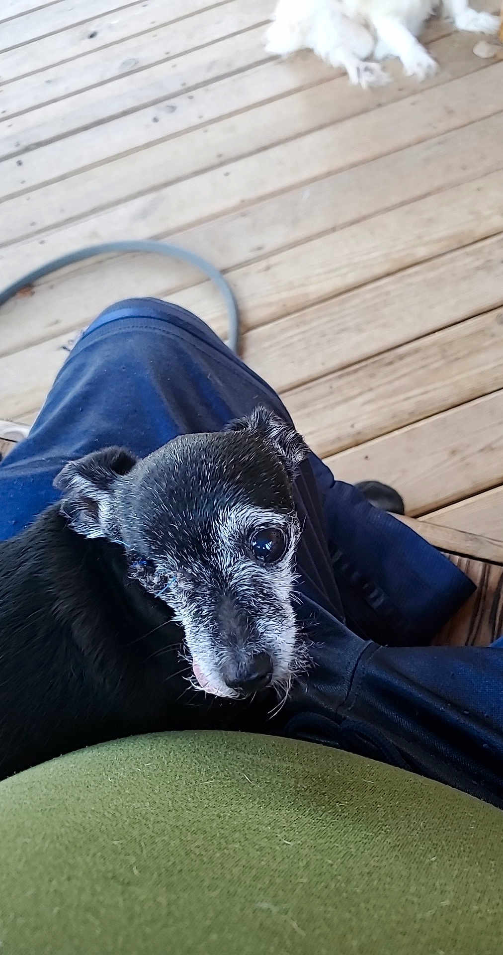 Mia