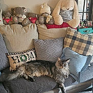 Stormy joined the competition — help win amazing prizes! cat, sofa, cushion, pillow, stuffed_animal, teddy_bear, plush, living_room, home_interior, throw_pillow, blanket, fur, pet, relaxing, cozy, plaid_pillow, decor, framed_photo, table, upholstery