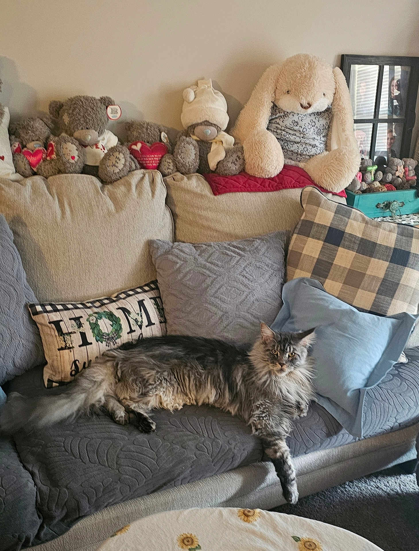 Stormy joined the competition — help win amazing prizes! cat, sofa, cushion, pillow, stuffed_animal, teddy_bear, plush, living_room, home_interior, throw_pillow, blanket, fur, pet, relaxing, cozy, plaid_pillow, decor, framed_photo, table, upholstery