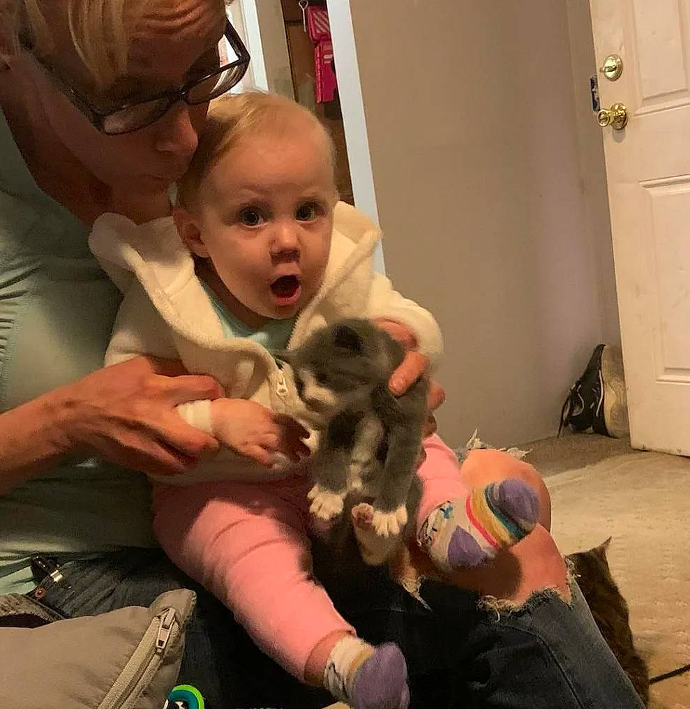 Daisy is registered to the contest to win money with this photo: carnivore, clothing, comfort, companion_dog, dog_breed, ear, fawn, felidae, finger, glasses, hand, happy, iris, joint, lap, mouth, person, skin, small_to_medium_sized_cats, surprise