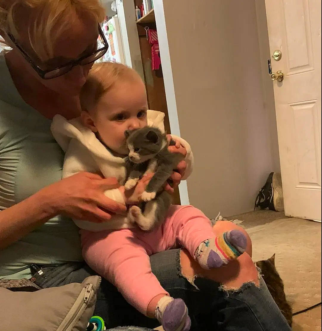 Daisy is registered to the contest to win money with this photo: baby, canidae, child, comfort, companion_dog, dog_breed, door, ear, fawn, finger, fun, fur, glasses, joint, lap, mouth, person, skin, stuffed_toy, toddler