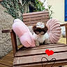 dog, shih_tzu, small_dog, fluffy, white_brown_fur, sitting, chair, wooden_chair, pink_cushion, heart_sticker, outdoor, patio, garden, plants, ivy, wooden_floor, home_decor, cute, portrait, doodle