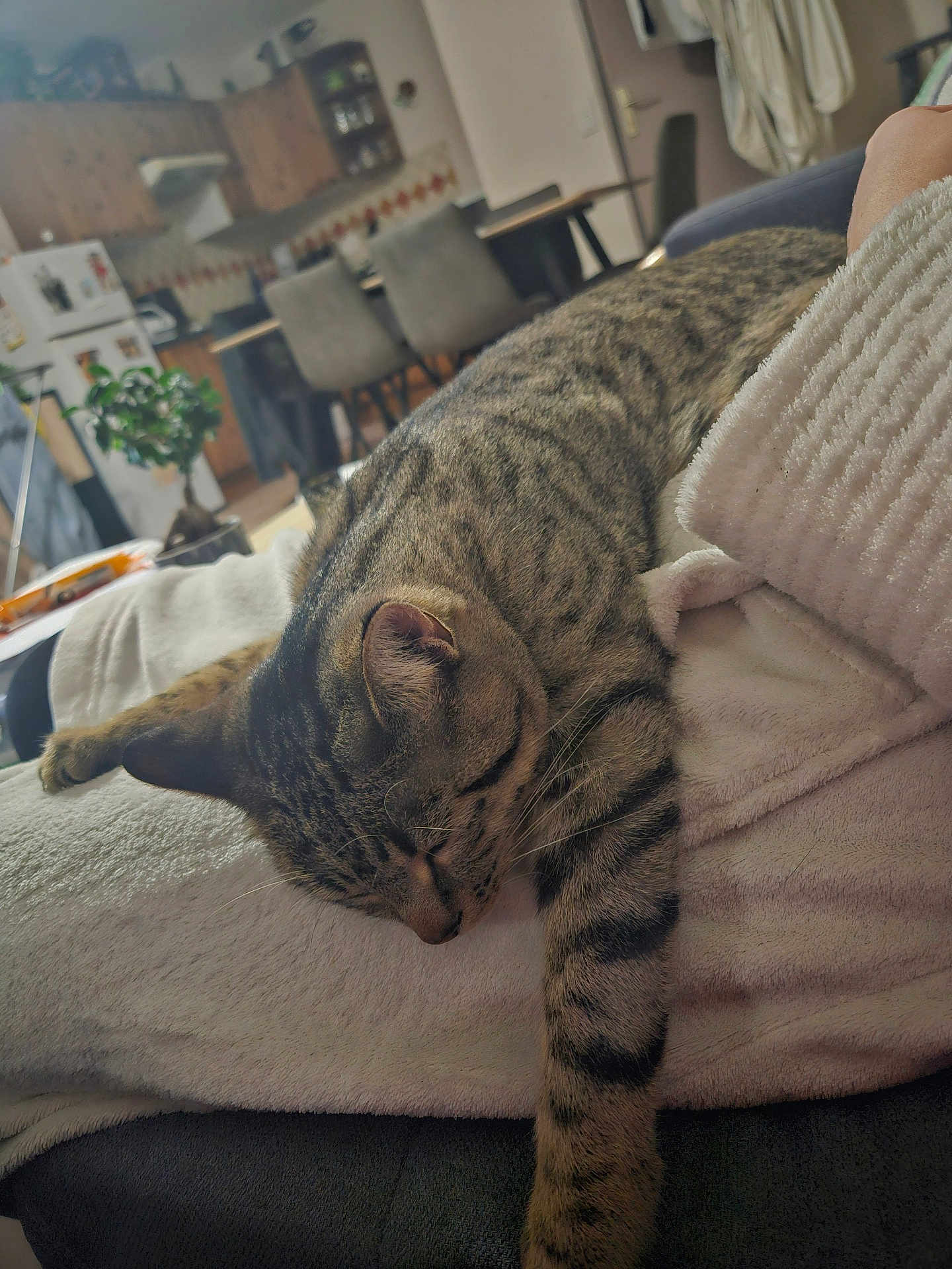 Niffleur