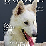 Uzu participe au concours pour gagner de l'argent avec cette photo : animal, blanket, canine, close_up, dog, ears, fluffy, fur, grass, looking_down, magazine_cover, muzzle, nose, outdoor, pet, photography, portrait, text, tongue_out, white_dog