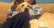 Tucker joined the competition — help win amazing prizes! blanket, blue_wall, close_up, couch, cozy, dog, domestic_animal, framed_art, golden_retriever, hug, indoor, living_room, nap, person, pet, portrait, relaxed, snuggling, sofa, sweater
