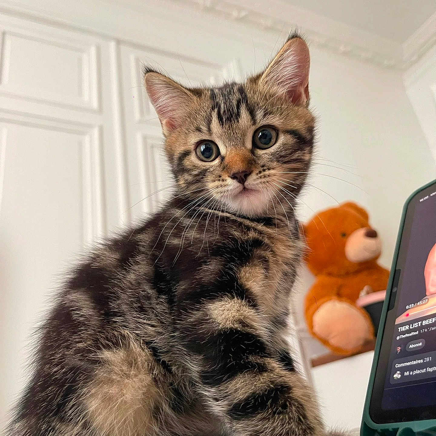 Baylee