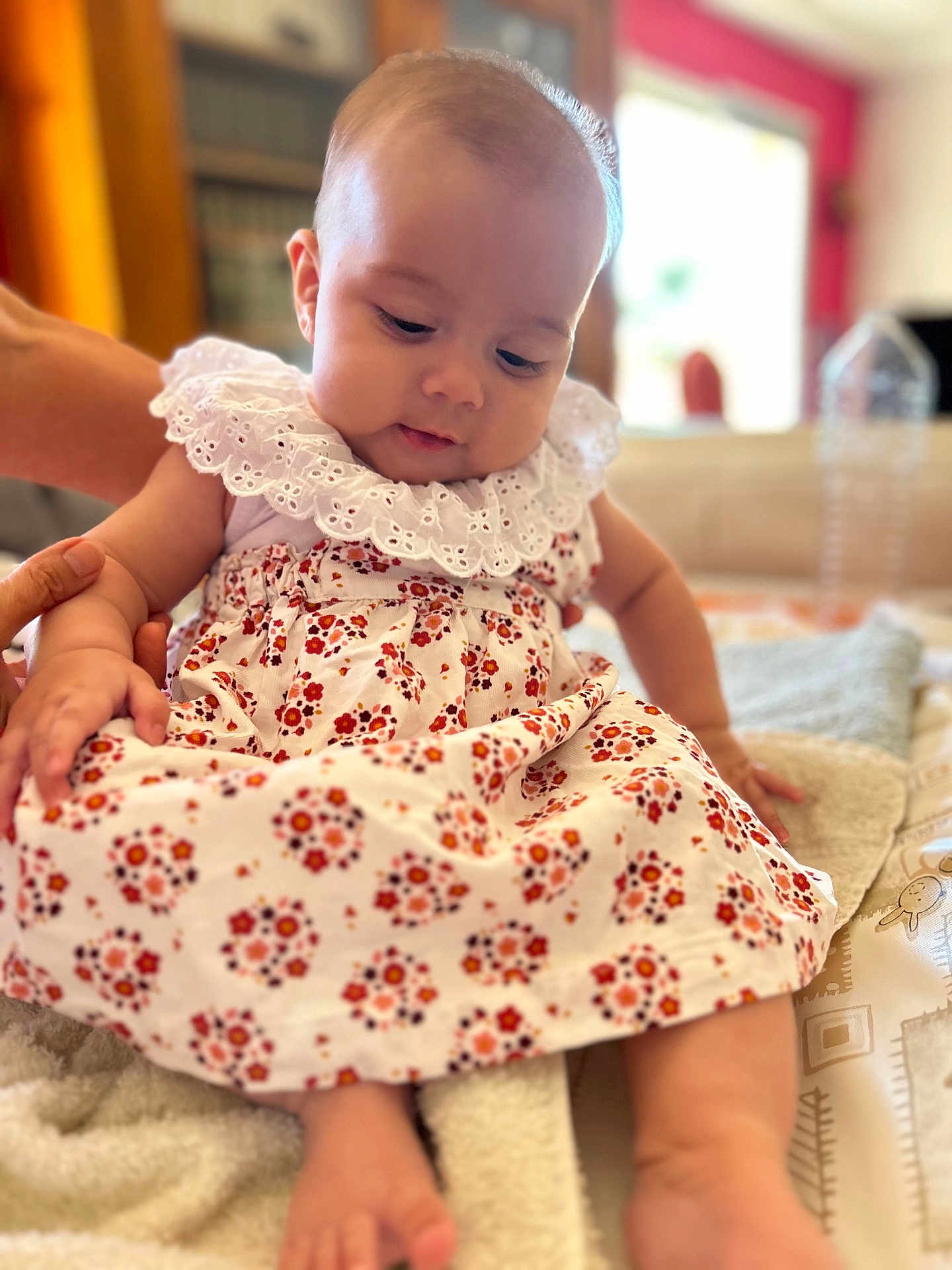 Lily Rose a rejoint le concours — aidez-le/la à gagner de superbes lots ! baby, child, infant, dress, floral_pattern, lace_collar, hand, skin, indoors, soft_light, person, cute, sitting, focus, portrait, expression, toddler, cloth, human, gentle