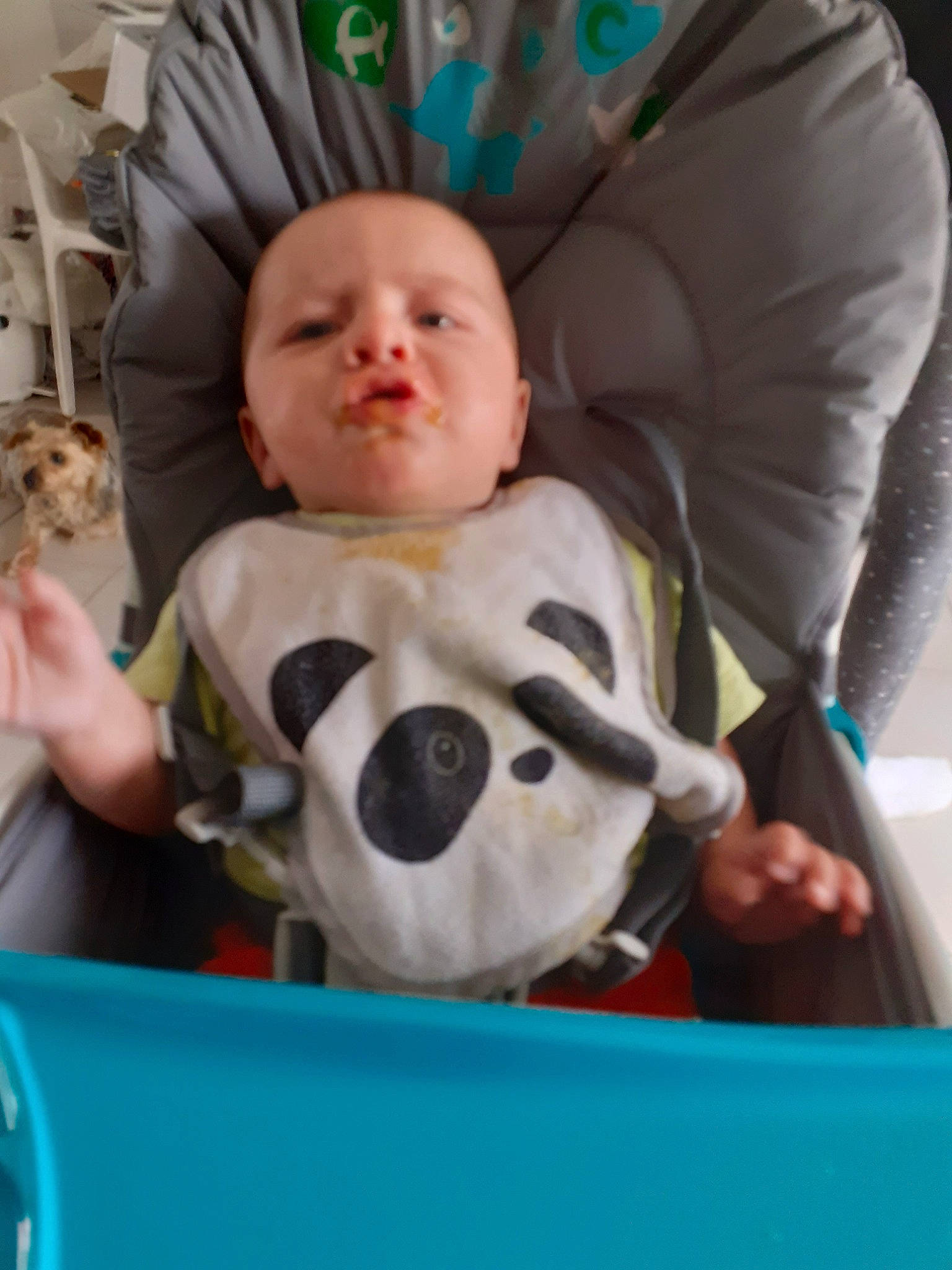 Tiago participe au concours pour gagner de l'argent avec cette photo : baby, cheek, child, eye, person, room, stuffed_toy, toddler