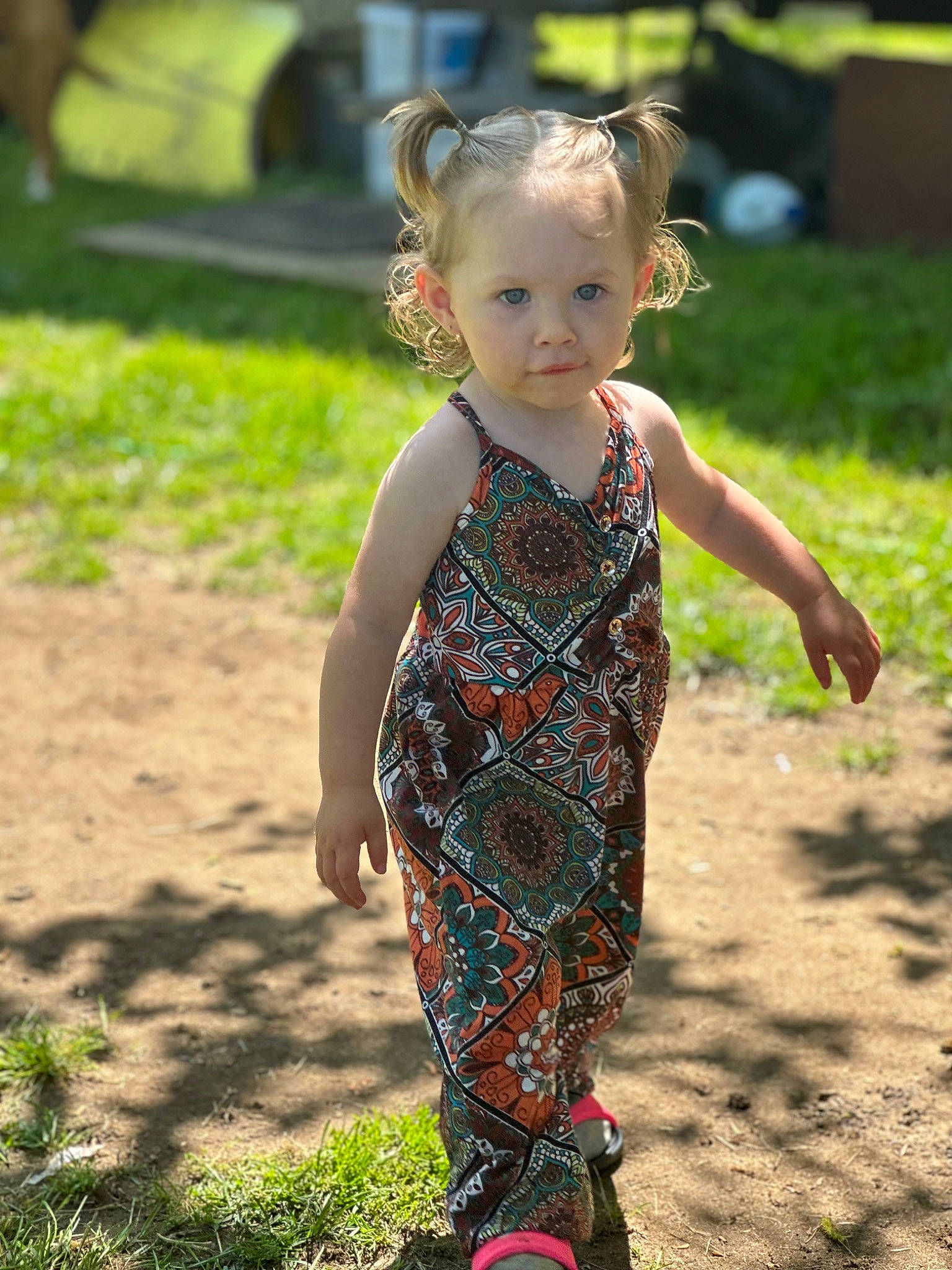 Willow is registered to the contest to win money with this photo: baby, baby_toddler_clothing, child, flooring, fun, garden, grass, happy, human_leg, leisure, pattern, people_in_nature, person, play, sleeve, soil, toddler, vacation, waist