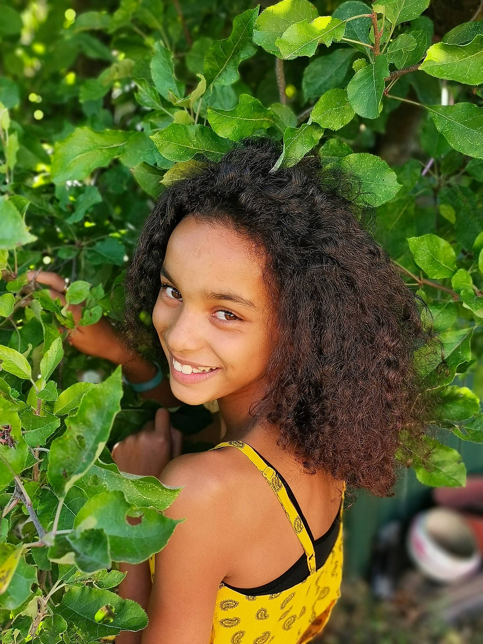 Neïla a rejoint le concours — aidez-le/la à gagner de superbes lots ! adaptation, black_hair, botany, brown_hair, fruit, grass, hairstyle, happy, joy, leaf, long_hair, nature, people_in_nature, person, plant, shrub, smile, summer, trunk, vegetation