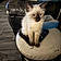 Lola