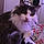 Minette