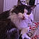 Minette