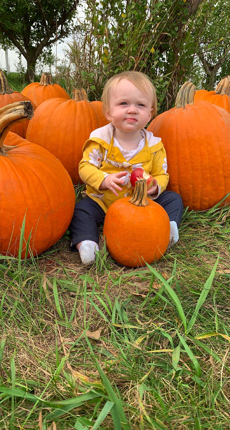 Paisley is registered to the contest to win money with this photo: calabaza, cucurbita, eye, gourd, grass, hair, happy, head, leaf, local_food, natural_foods, orange, organ, person, plant, pumpkin, squash, toddler, tree, vegetable