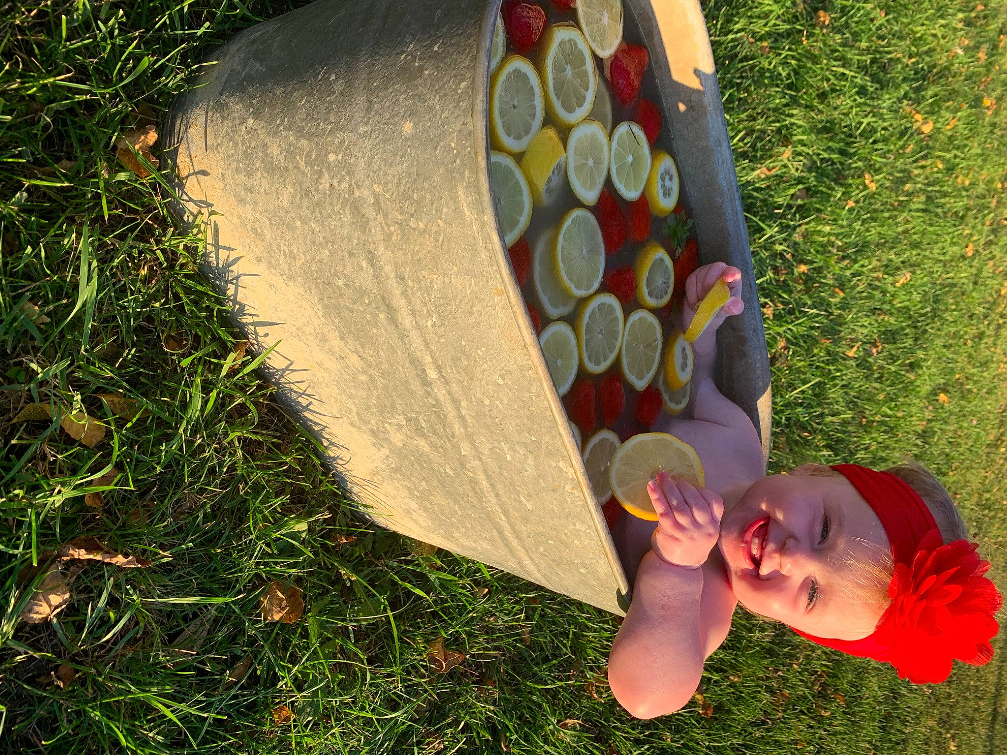 Paisley joined the competition — help win amazing prizes! art, automotive_wheel_system, baby, botany, child, circle, fun, grass, grassland, happy, hat, headwear, joy, leisure, organism, pattern, people_in_nature, person, plant, recreation
