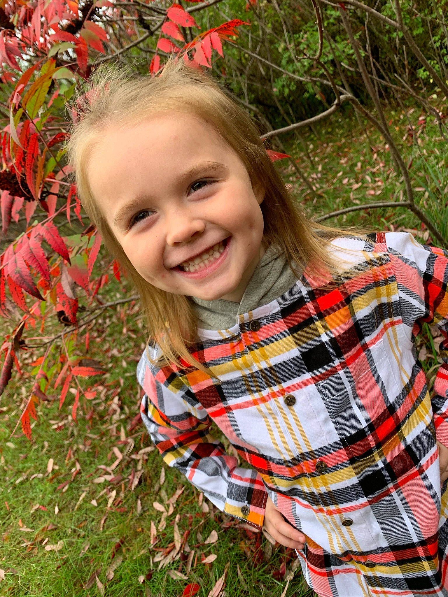 Blaire joined the competition — help win amazing prizes! beauty, botany, child, clothing, eye, fun, grass, grass_family, happy, joy, leaf, pattern, people, people_in_nature, person, plaid, plant, red, smile, tartan