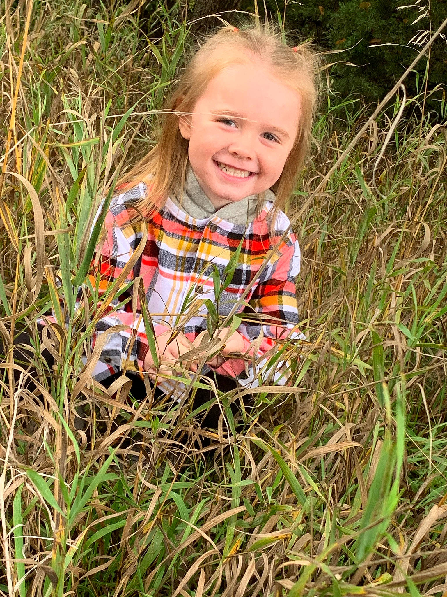 Blaire is registered to the contest to win money with this photo: agriculture, baby_toddler_clothing, blond, botany, child, face, facial_expression, grass, grass_family, grassland, happy, joy, meadow, pattern, people_in_nature, person, plant, prairie, smile, t_shirt