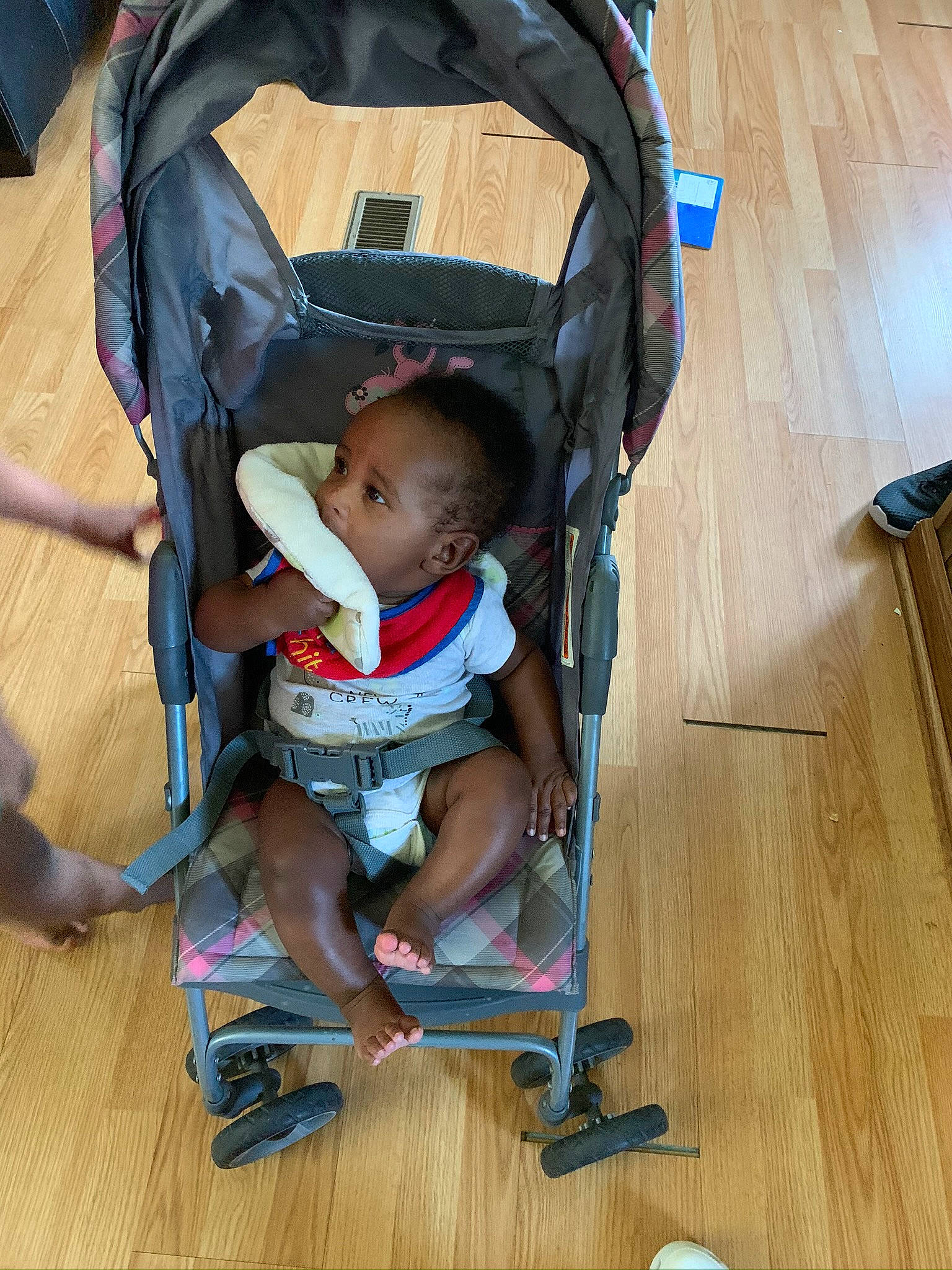 Jamarion joined the competition — help win amazing prizes! baby, baby_carriage, baby_products, baby_safety, baby_toddler_clothing, brown, child, comfort, floor, flooring, fun, hardwood, infant_bed, laminate_flooring, person, sitting, toddler, varnish, wood, wood_flooring