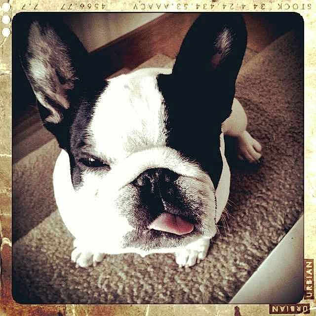 Carlton is registered to the contest to win money with this photo: