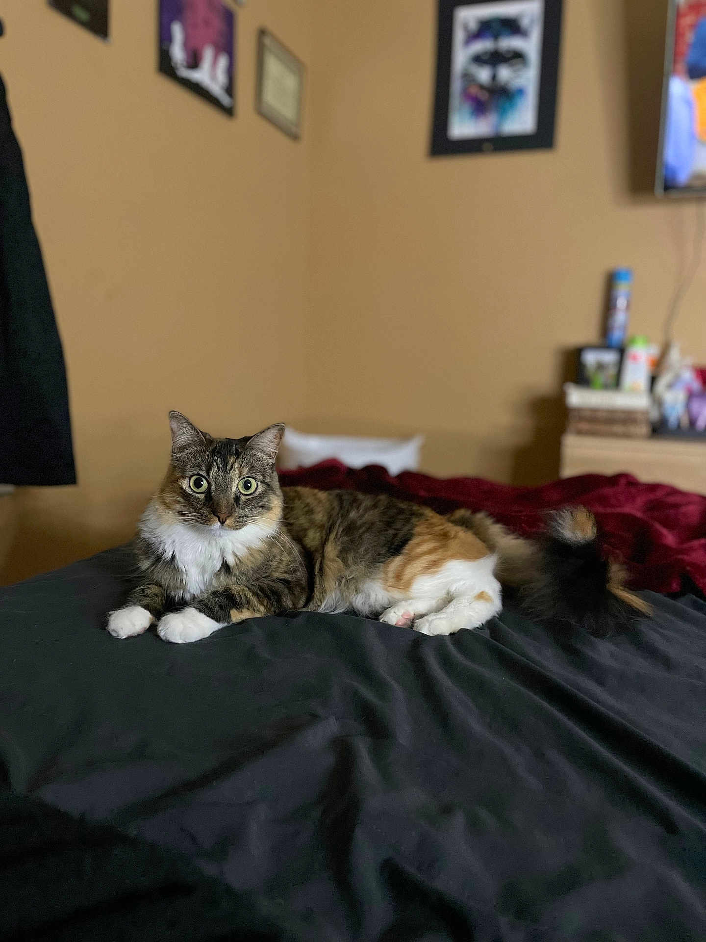 Kali