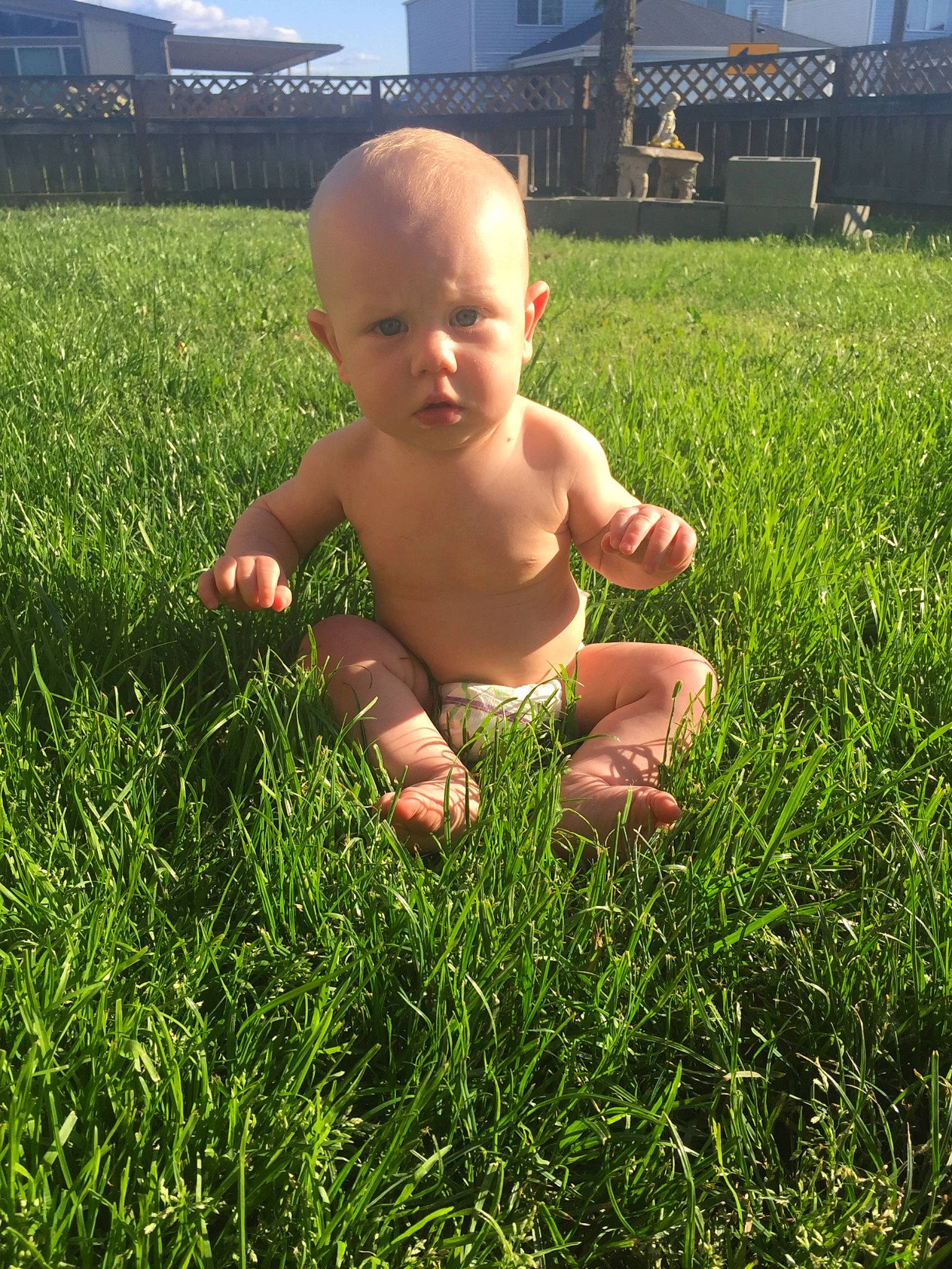 Mavrick is registered to the contest to win money with this photo: baby, child, finger, fodder, grass, grass_family, grassland, green, hand, lawn, meadow, people_in_nature, person, plant, play, skin, sky, smile, summer, toddler