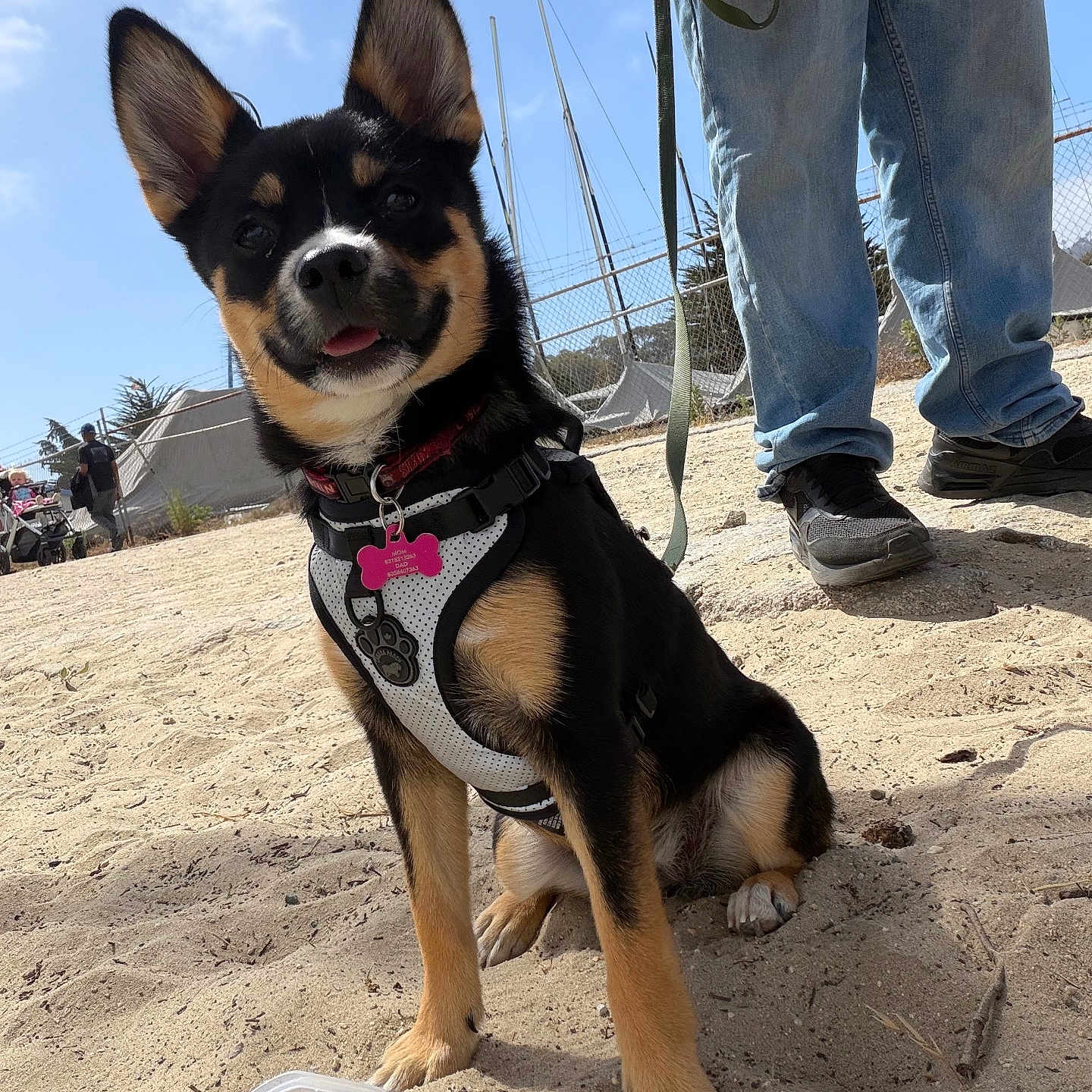 Roxxy
